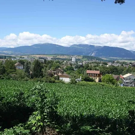 1 Piece Entresol 30 M2 Proche Du Centre Et Bain Thermal *