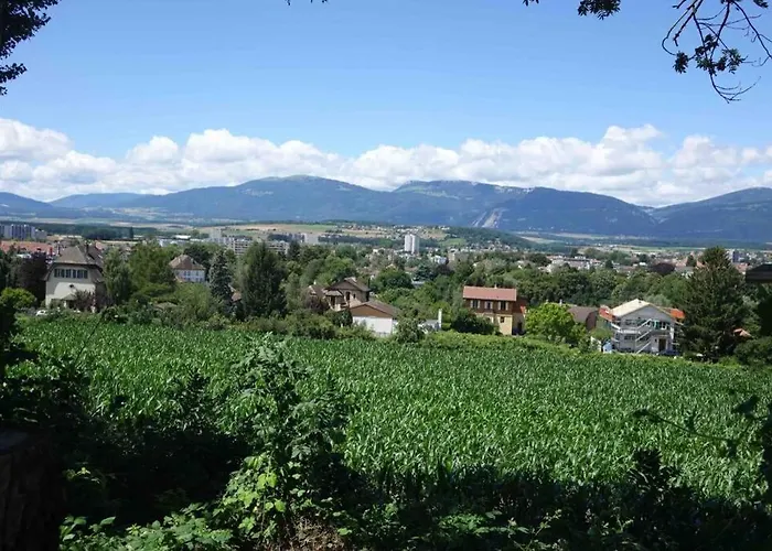 1 Piece Entresol 30 M2 Proche Du Centre Et Bain Thermal *