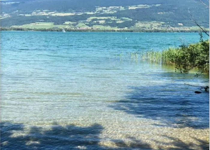 1 Piece Entresol 30 M2 Proche Du Centre Et Bain Thermal *